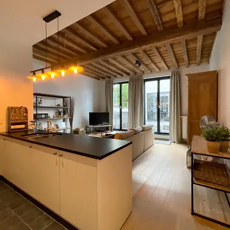 아파트 Begijnhof 102 헨트