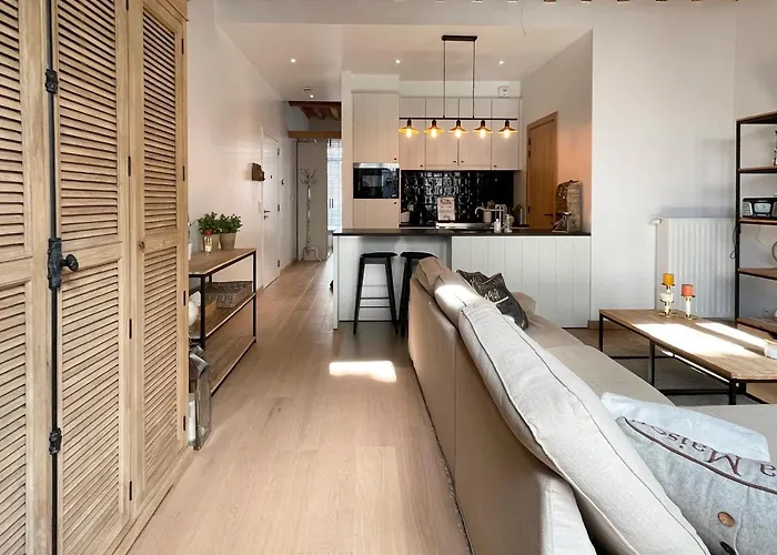 Begijnhof 102 根特