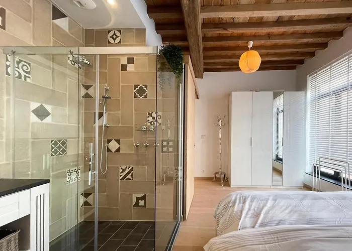 Begijnhof 102 Γάνδη