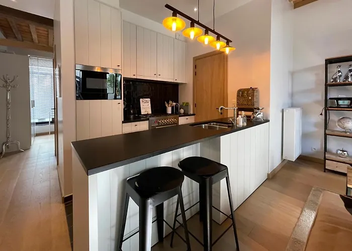 公寓 Begijnhof 102 *